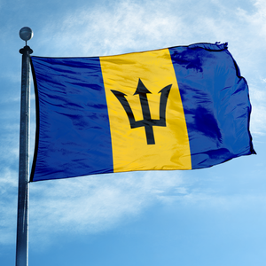 <span class=keywords><strong>Bandera</strong></span> <span class=keywords><strong>de</strong></span> <span class=keywords><strong>Barbados</strong></span> Personalizada <span class=keywords><strong>de</strong></span> Poliéster para Exteriores, <span class=keywords><strong>Bandera</strong></span> Nacional Barbadeña para Colgar en la Pared con Ojales <span class=keywords><strong>de</strong></span> Latón - Product Image 1