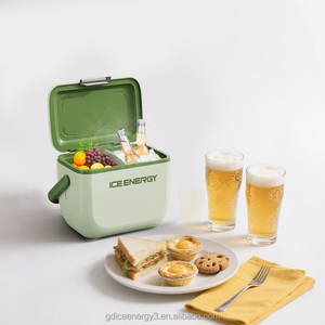 ICE TRIP modèle privé 6L Mini boisson 48 heures garder froid glacière Portable PP EPS boîte isolée pour le camping - Product Image 5