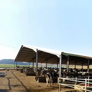 Fácil Instalação Pré-fabricada Pecuária Barn Cow Hangar Shed Aço Estrutura Led Lights para Dairy Barn C.Z Forma Steel Channel