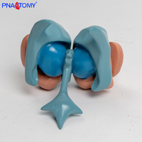 Base du cerveau PVC noyau ventricule coulée thalamus et système nerveux central modèle anatomique avec amygdale