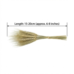 Mezcla de Alimento Natural para Mascotas con Flores Secas, Ecológica, Sin Aditivos, de Mijo, Avena, Cebada, Trigo, <span class=keywords><strong>Pampa</strong></span> y Cola de Conejo, para Hámsteres y Animales Pequeños - Product Image 6