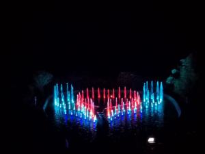 Dmx Pomp/Dc Pomp 150W - Product Image 4