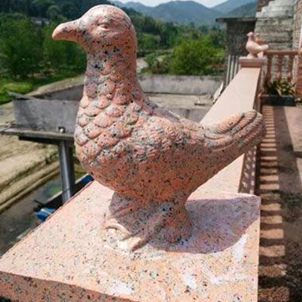 Find Unique pigeon cement Solutions for Pet Enthusiasts Worldwide