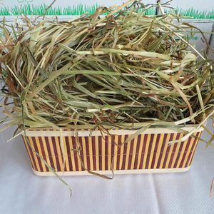 Heno de Avena Premium, Heno de Alfalfa, Alimento para Conejos con Alto Contenido de Fibra, para Cobayas, Chinchillas y Animales Pequeños, Ecológico, Jinchang, Gansu - Product Image 3