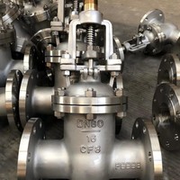 Válvula de Compuerta de Alta Calidad, Acero Inoxidable 316L, 8 Pulgadas DN200 Clase 150, con Brida, API 600
