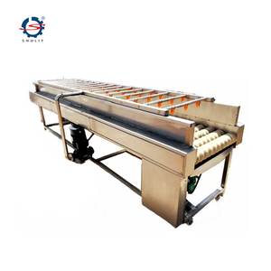 Fruit washing machine vegetable bubble washer fruit and vegetable cleaning machine