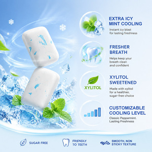 Chewing-gum Icy Burst <span class=keywords><strong>Xylitol</strong></span> sans sucre, saveur menthe, sensation de fraîcheur instantanée, texture moelleuse, OEM ODM, personnalisable en vrac, fabrication en usine - Product Image 6