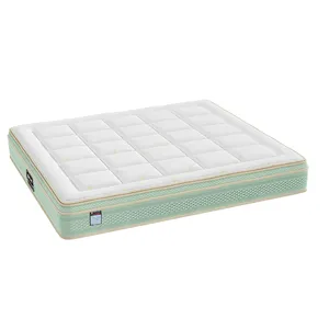 Custom Comfort Bedroom Full Bed Mattress Green Tea Knitted Fabric Compressed Spring Mattress In Luxury Euro Top Design