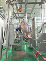 Abattoir de bovins d'abattoir moderne Équipement complet pour ligne de traitement de boucherie de vache