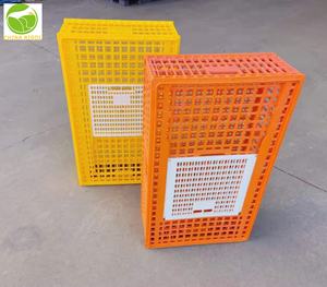 Büyük ölçekli tavuk çiftliği operasyonları için yüksek kapasiteli istiflenebilir kanatlı kasalar - Product Image 3