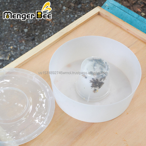 Nuevo Alimentador Superior Redondo Rápido para Colmenas Menger Bee BF-7 de Plástico con 2 Años de Garantía y Fácil Instalación - Product Image 1