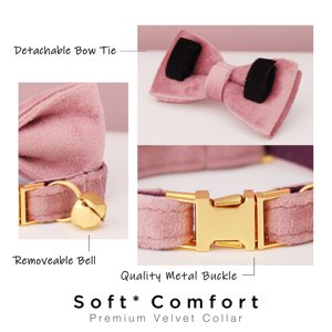 Ensemble collier et laisse personnalisés pour chat en velours rose poudré avec nœud papillon, étiquette nominative gravée sur mesure pour chaton ou chiot, clochette dorée offerte, pour petit chien femelle - Product Image 5