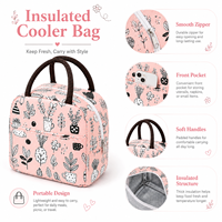 Sac isotherme pliable réutilisable pour pique-nique, vente directe d'usine, pour adultes, enfants, bureau, extérieur