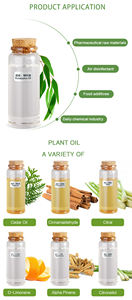 Olio essenziale di eucalipto naturale per uso alimentare spremuto <span class=keywords><strong>a</strong></span> <span class=keywords><strong>freddo</strong></span> estratto vegetale liquido per aromaterapia per rassodare il fornitore nutriente - Product Image 5