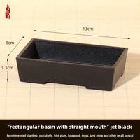 Nouveaux pots à succulentes en résine de style chinois avec un design à parois épaissies respirantes pour balcon et bureau