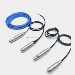 맞춤형 대형 캐빈 수위 감지기 전문 액체 레벨 센서 예비 부품 포함 잠수형 12~30VDC 4~20mA - Product Image 4