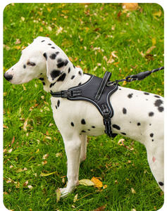 Arnés táctico para perros personalizado, ligero, sin tirones, reflectante, arnés para mascotas, arnés de entrenamiento transpirable para perros grandes - Product Image 5