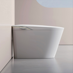 En gros <span class=keywords><strong>WC</strong></span> intelligent électrique automatique à poser au sol avec bidet intégré, Sanitaire de salle de bain - Product Image 1