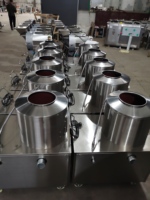 Éplucheuse Automatique de Gingembre 150-240 kg/h, Machine à Laver et Éplucher les Pommes de Terre