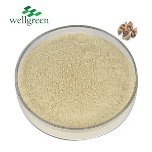 Herbal Extract Bulk Sale 95% Tannic Acid Powder Food Grade Gallnut Extract Tannic Acid