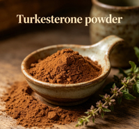 Extrait d'Ajuga Turkestanica soluble dans l'eau en vrac pour la nutrition sportive, 10% 2% de turkesterone naturelle en poudre pour compléments alimentaires