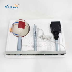 Instrument de <span class=keywords><strong>d</strong></span>émonstration <span class=keywords><strong>d</strong></span>'imagerie de globe oculaire agrandi, modèle <span class=keywords><strong>d</strong></span>'œil humain pour l'enseignement en <span class=keywords><strong>ophtalmologie</strong></span> des facultés de médecine CE/ISO/ROHS/CNAS - Product Image 6