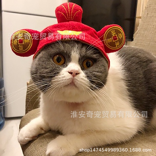 God of Wealth Hat