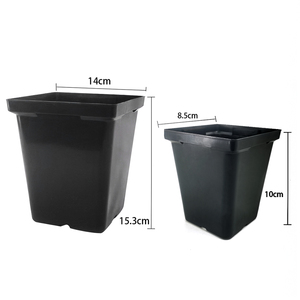 Wholesale 3.5inch 5 inch black pp plastic planters flower nursery pots maceteros with draining hole