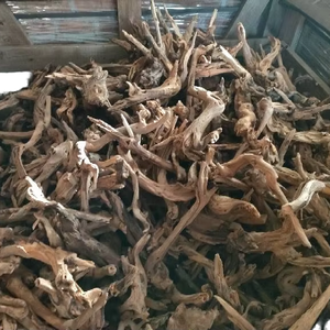 <span class=keywords><strong>Mousse</strong></span> pré-collée sur céramique pour décoration d'<span class=keywords><strong>aquarium</strong></span>, produit écologique prêt à la vente pour revendeurs, utilisation en chambre/dortoir - Product Image 5