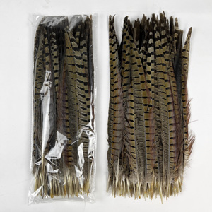 Plumes de <span class=keywords><strong>faisan</strong></span> collier naturelles tachetées pour la confection de mouches, nymphes, mouches sèches, leurres artificiels pour la pêche à la truite et au saumon - Product Image 3