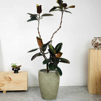 Pot de fleurs circulaire en ciment de style nordique Simple Green International, grand format pour salon, idéal pour plantes et arbres, Guangdong