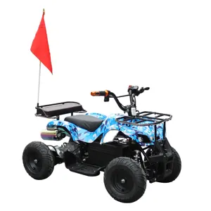 고품질 48V 전기 황소 ATV 500W 납산 배터리 전기 자동차 어린이 전기 ATV