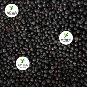 BRC HACCP phân phối số lượng lớn bán buôn cây trồng mới iqf nho đen đông lạnh - Product Image 6