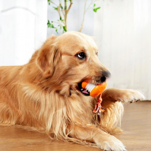 Juguetes para Perros, Pelota Interactiva con Sonido, Recargable y Activada por Tacto, con Cuerda para Perros Pequeños y Medianos - Product Image 4