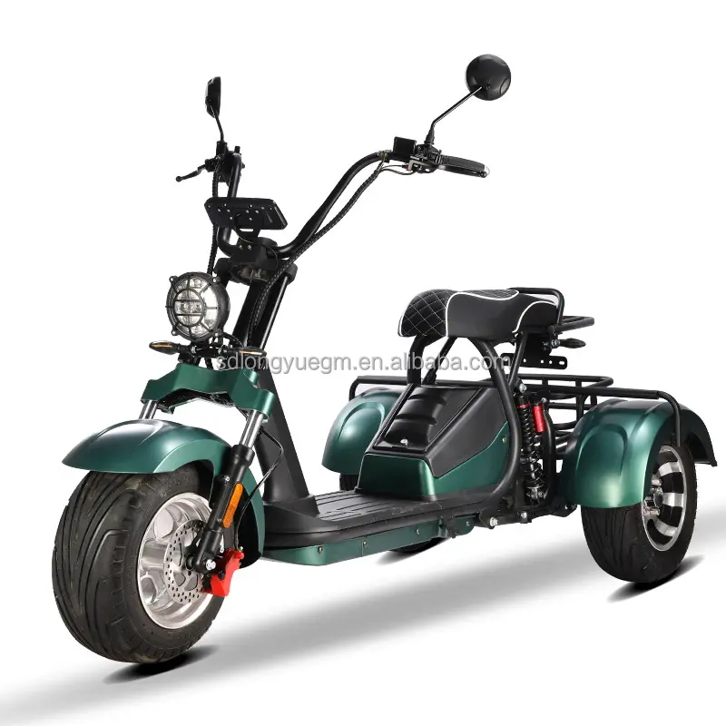 EEC skuter mobilitas Citycoco, elektrik 3 roda 1500W 2000W 60V 12ah ban gemuk untuk kendaraan listrik dewasa