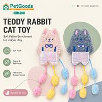Jouet interactif en peluche pour chat, jouet de divertissement et de réduction du stress pour chatons, idéal pour les jeux en intérieur, emballage personnalisable