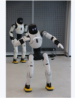 Robot humanoïde bipède ultra-compact AgiBots X2 X2, 25-30 degrés de liberté, couple de pointe 120 N-m, batterie interchangeable, SDK AimDK ouvert, en stock