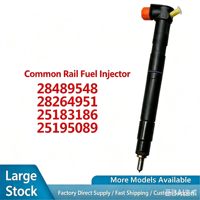 Injecteurs Common Rail 28489548 28264951 25183186 25195089 Pièces de moteur