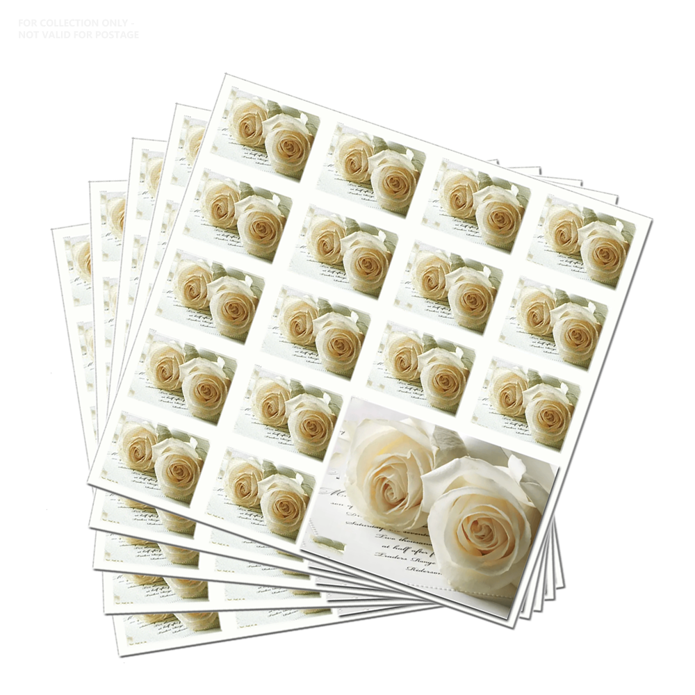 Rosas de boda blancas Y19 2011 (100 piezas)