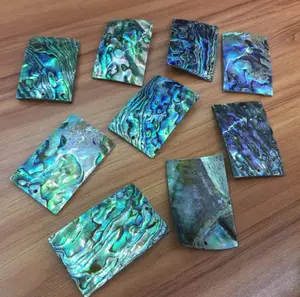 Polished Abalone Seahell Rectangle Shell Chips Blanks Craft Gifts and Jewelry Decoration