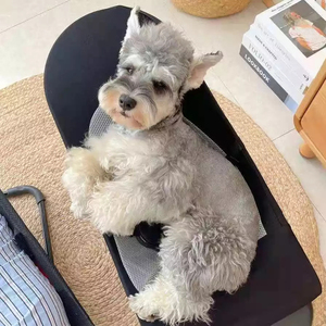Mecedora para perros y gatos, cama reclinable portátil para cachorros, nido plegable, cómoda, suministros para mascotas - Product Image 2