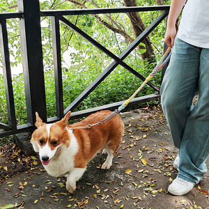Multicolor Adjustable <strong>Martingale</strong> Metal Chain Hand Woven <strong>Dog</strong> <strong>Collars</strong> Elastic Double-Headed Braided Pet Leash Rope P Chain <strong>Collar</strong> - Product Image 5