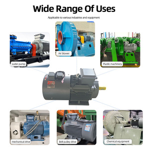 มอเตอร์ไฟฟ้ากระแสสลับแบบอะซิงโครนัสสามเฟส Beide1TL0003 0.55KW~250KW 1000 รอบต่อนาที พร้อมเอนโค้ดเดอร์ 400V 50Hz IE3 แบบปิดสนิท - Product Image 4
