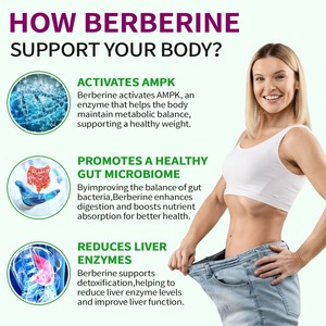 Complément Liquide de Berbérine Haute Puissance à Marque Blanche <span class=keywords><strong>pour</strong></span> le Soutien Glycémique, Gouttes Naturelles Stimulantes du Métabolisme, Faible MOQ - Product Image 4