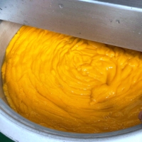 Complete Mango Verwerkingslijn voor Puree, Sap, Gedroogd Fruit & Jam |   Multifunctionele apparatuur voor de productie van fruitpasta