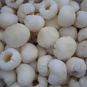 Pulpa de lichi congelada natural de primera calidad 100% Fruta tropical exótica de congelación rápida con aroma dulce y floral similar al mango y plátano - Product Image 4