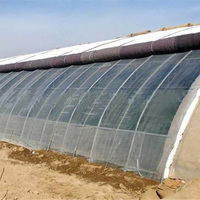 Serre verte isolée en zone froide Agriculture Serre solaire passive d'hiver commerciale