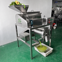 Industriële avocado- en mangopulpermachine voor het scheiden van pitjes en het produceren van gladde puree in commerciële voedingsindustrieën