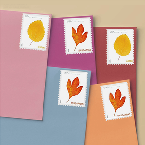 Autocollants adhésifs <span class=keywords><strong>de</strong></span> timbres-poste vintage <span class=keywords><strong>de</strong></span> première classe USA, thème Feuilles 2025, pour envoi postal, papier <span class=keywords><strong>de</strong></span> timbrage US Mail - Product Image 4