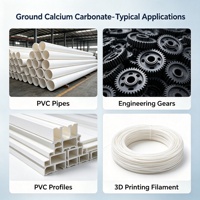 Carbonate de Calcium Industriel 700 Mesh, Pureté 97%, Poudre Blanche, Chargeur de Haute Performance pour le Compostage de PP Modifié (XF-6002)